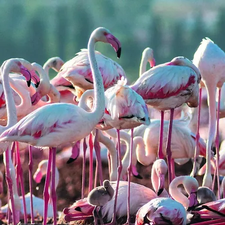 Апартаменты Smart Space *