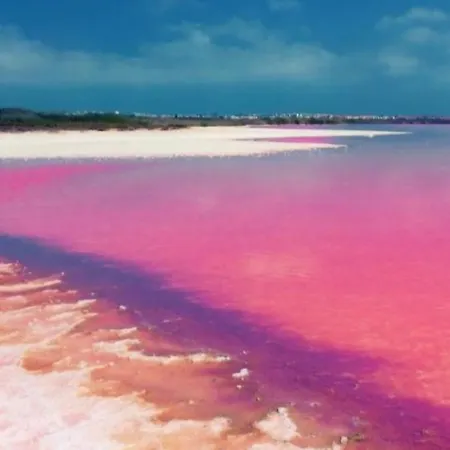 Smart Space Ла-Мата