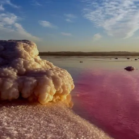 Smart Space * La Mata (Torrevieja)